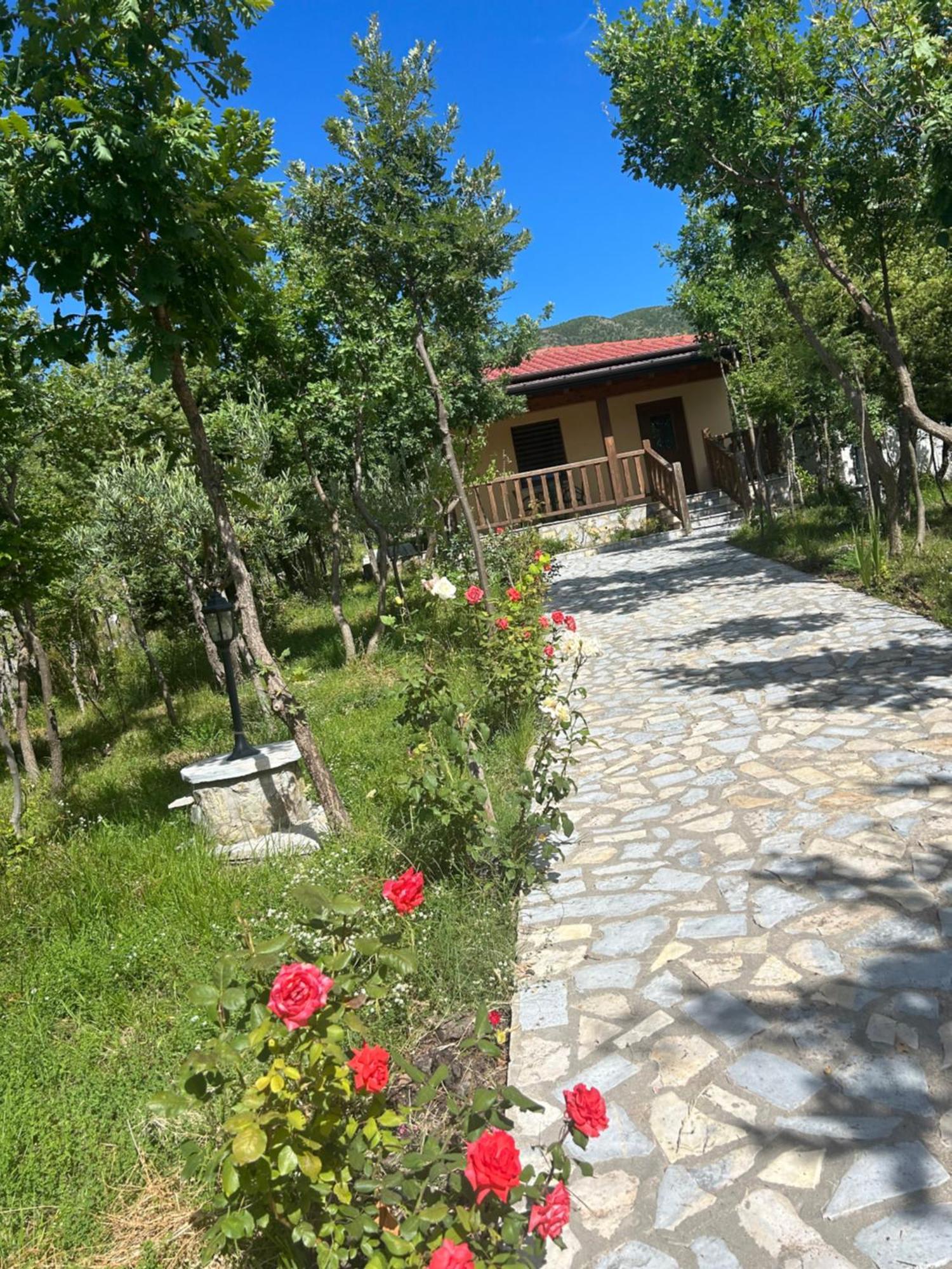 Hani I Leks Agroturizem * Lezhë